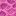 Brain Coral Block