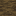 Mangrove Log