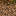 Podzol